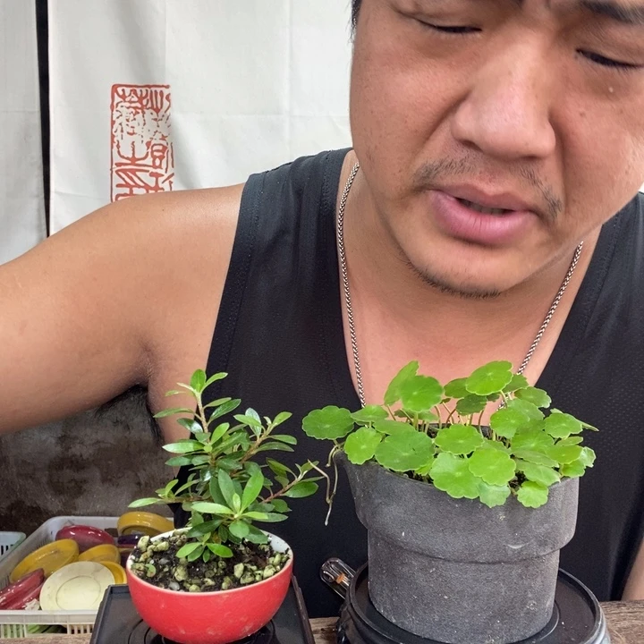 故*一物一拍所见即所得219