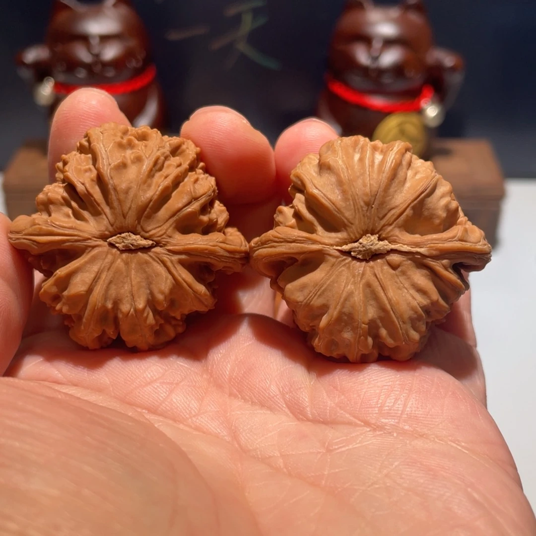 文玩核桃把件恒*白狮子41全品
