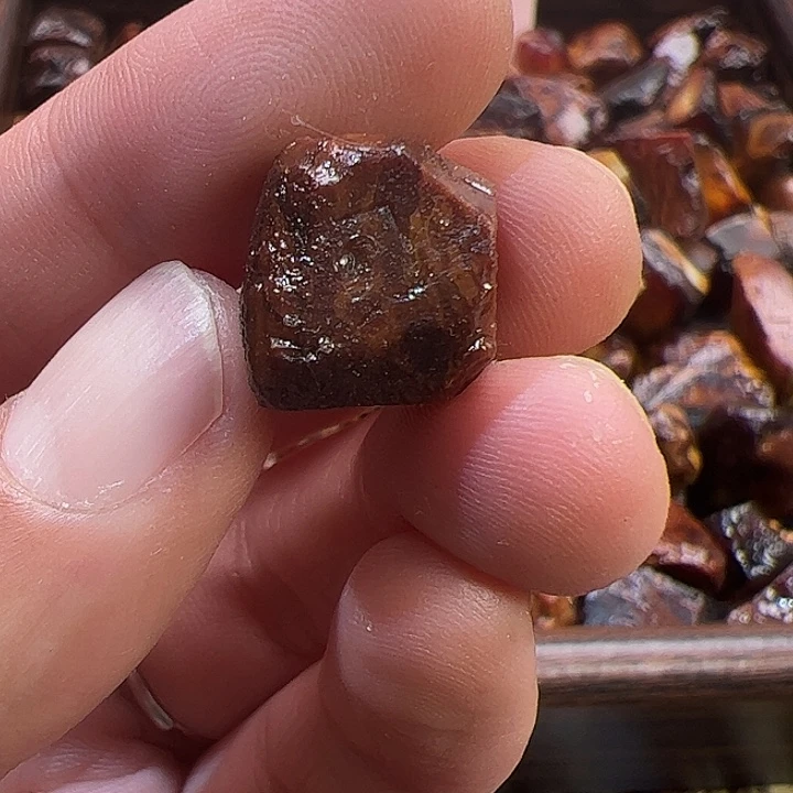 未镶嵌定制蜜蜡熊**火琥珀蜜蜡原石定制