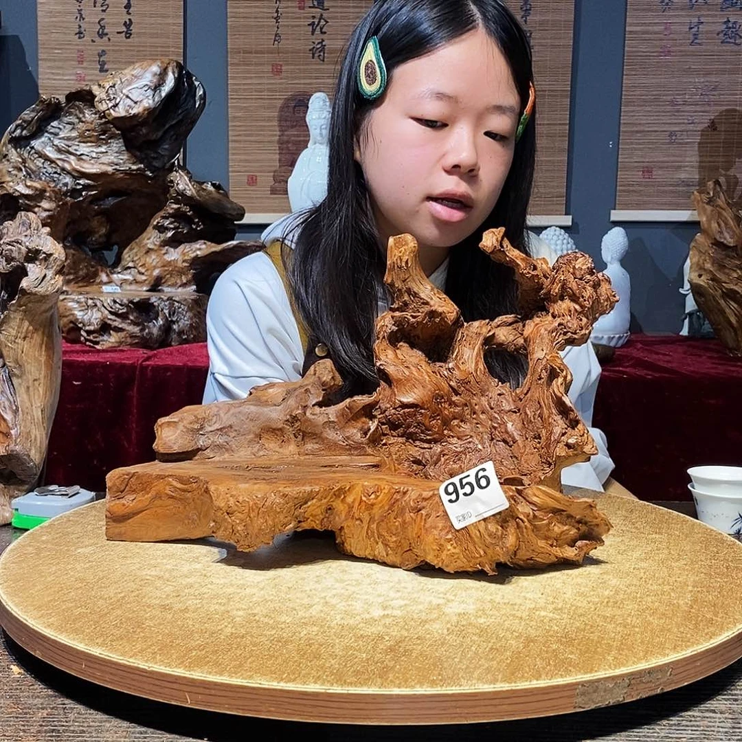 城***业956株木随行的小根艺