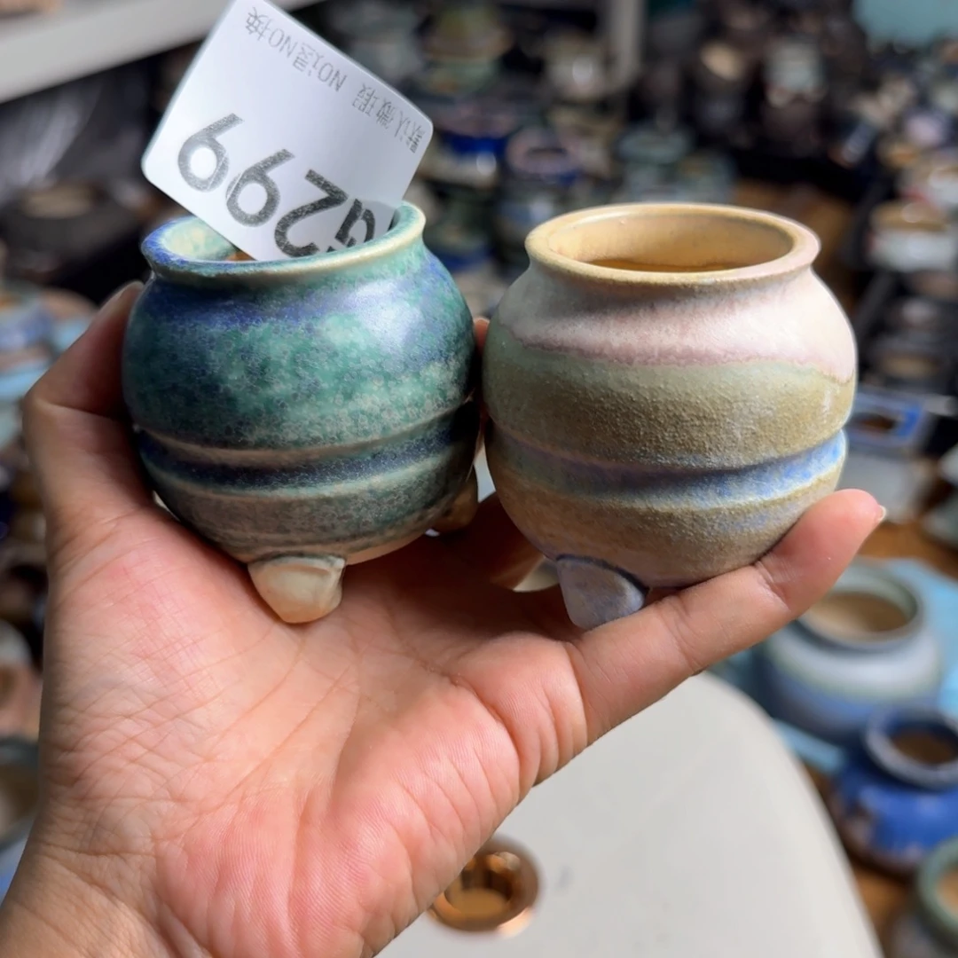 重庆小燕子欢迎大家299