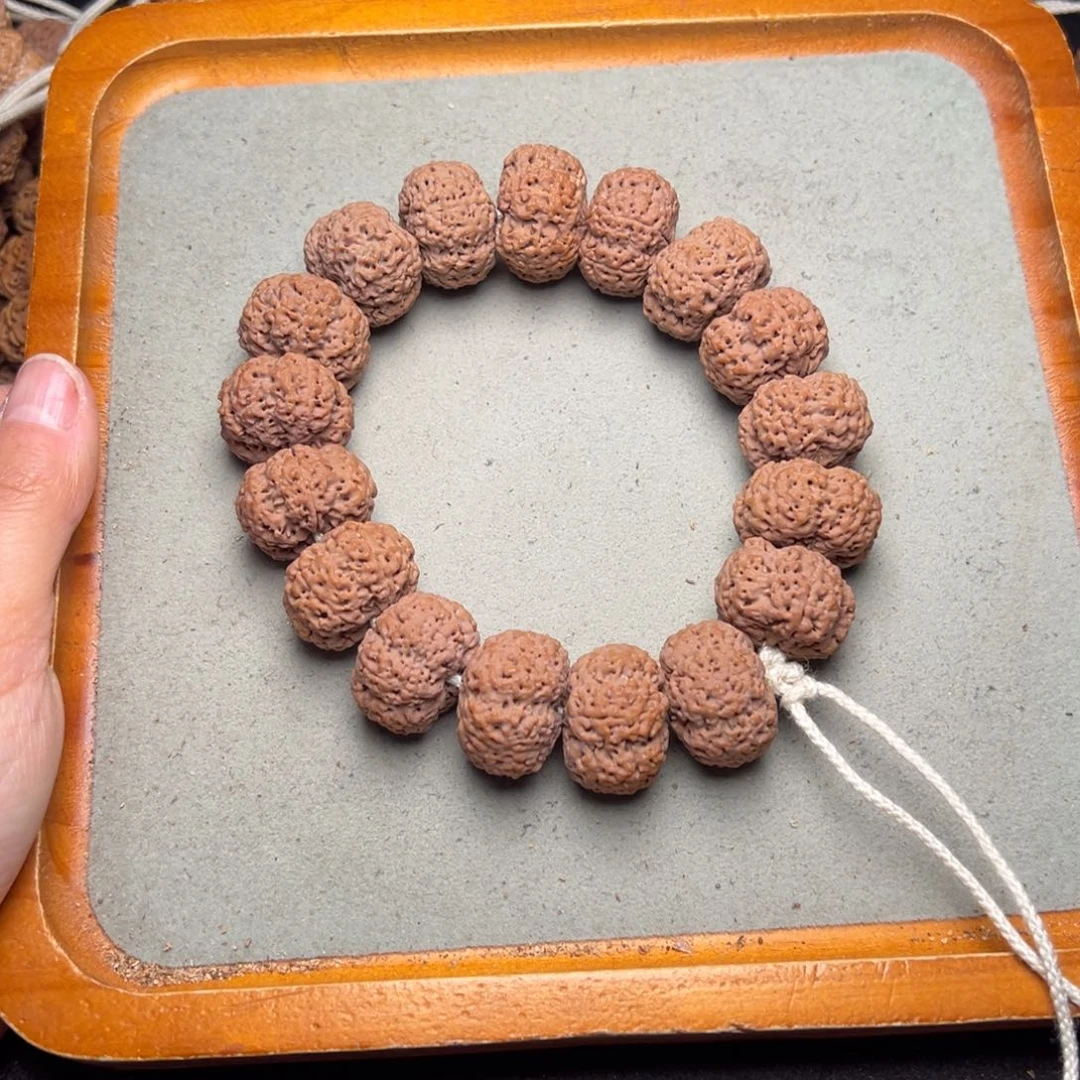 菩提3号金刚菩提菠萝蜜夹板24