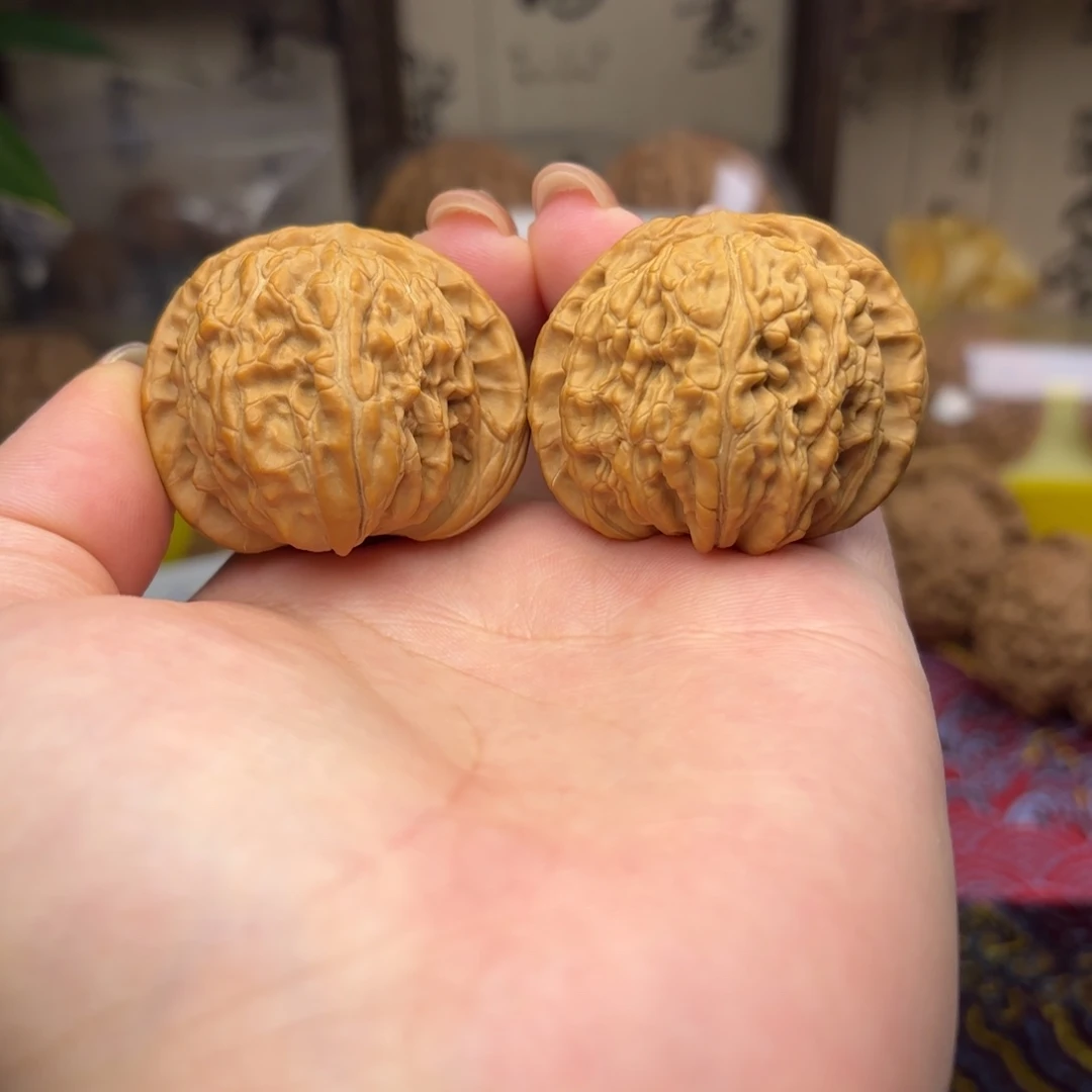 白狮子头四十尺的