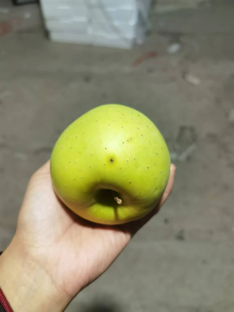 瑕疵果 黄元帅 有树膜 擦伤 搁印 介意勿拍 不能吃的烂的包赔