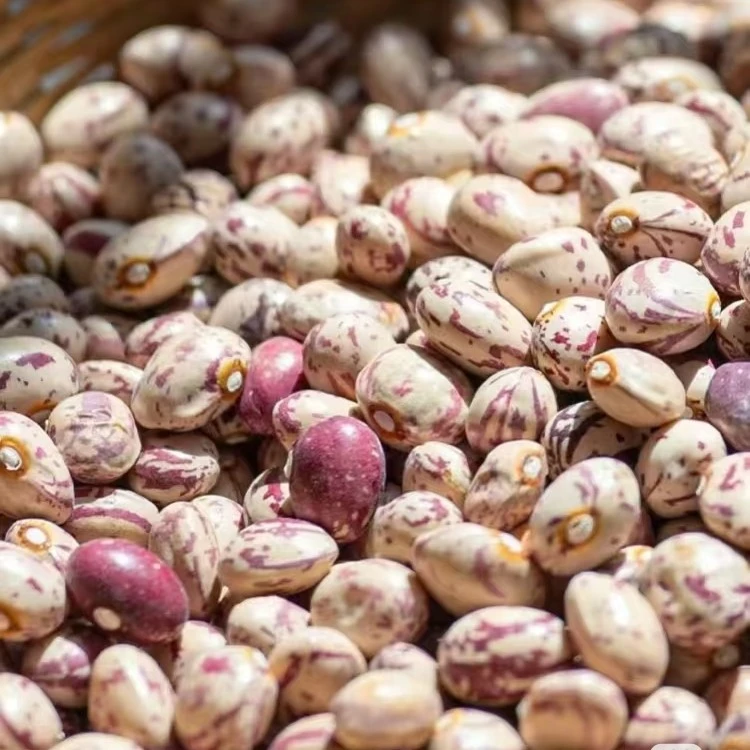 贵州农家花豆干货