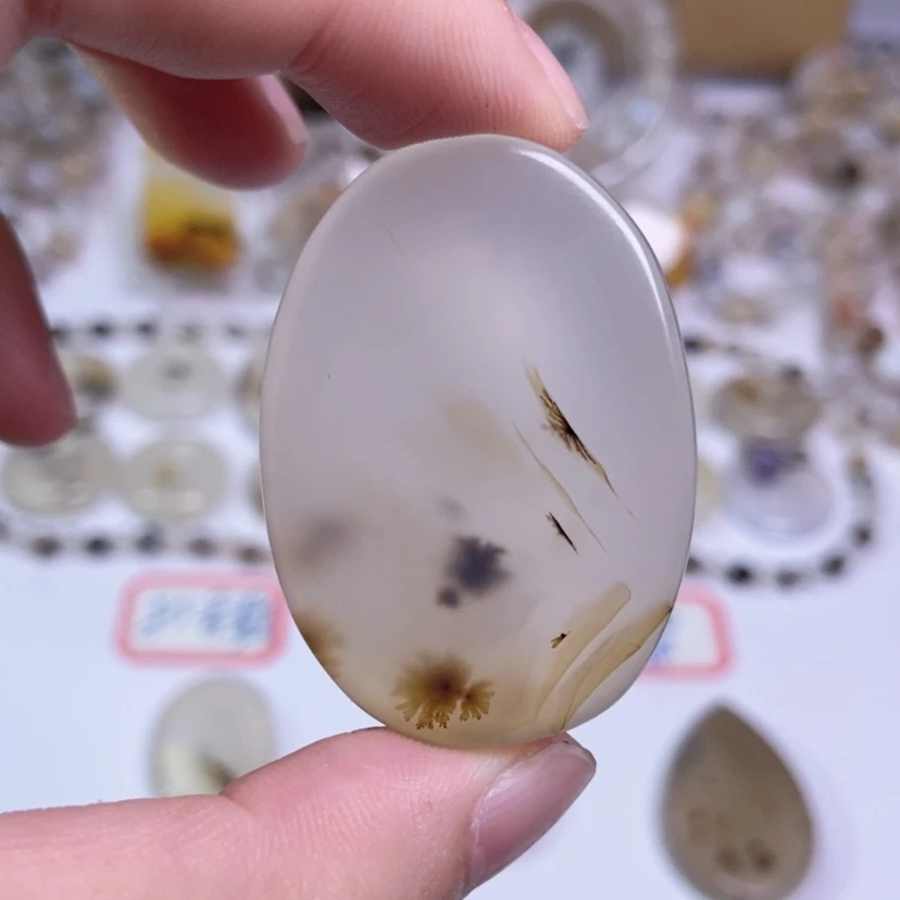 【闪购商品】玛瑙/玉髓颈饰合金