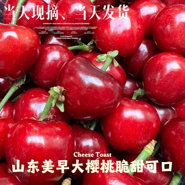 【自家种植果园直发】山东美早大樱桃脆甜可口2J-5J/2斤脆甜可口美早山东省