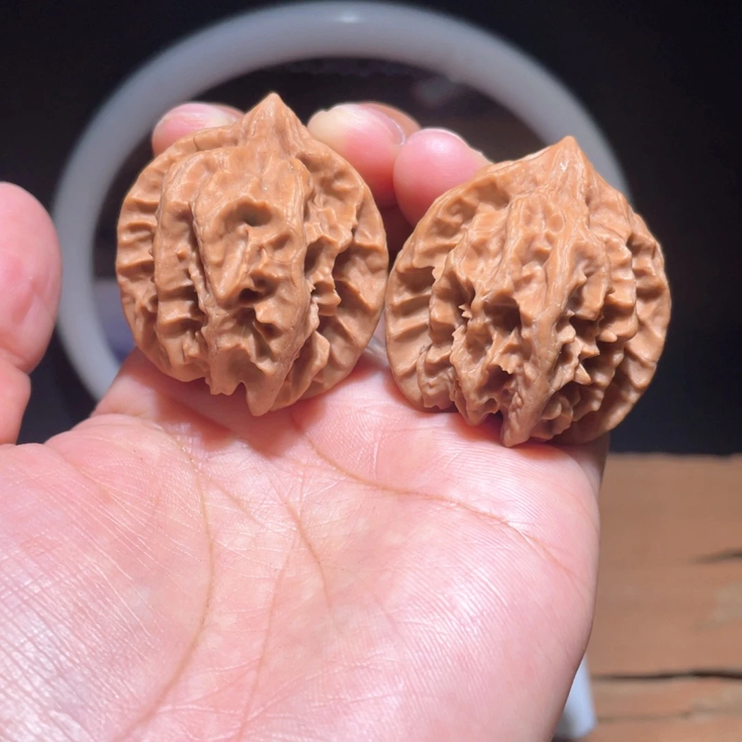 S447 36尺 大龙 龟背