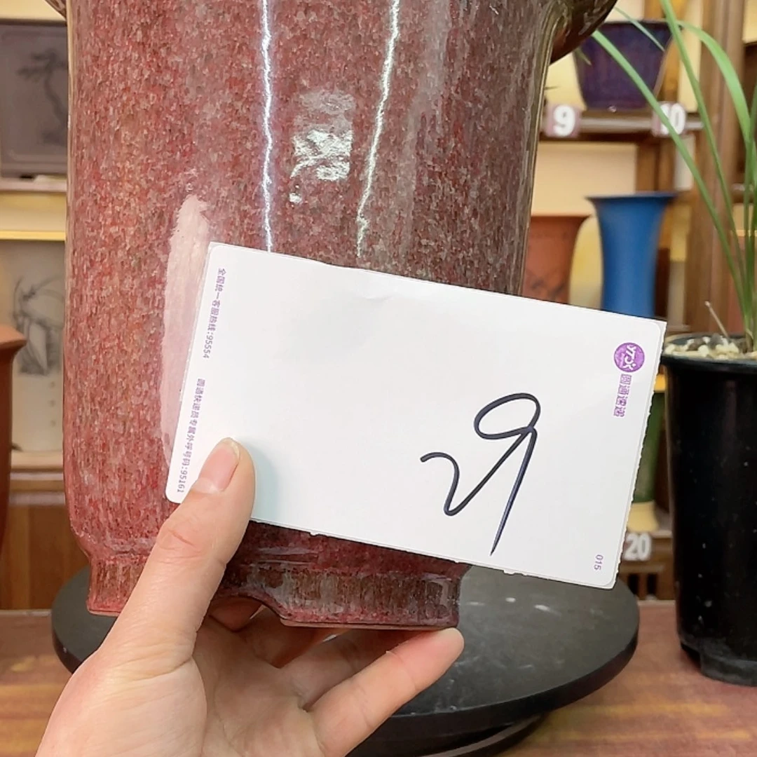 【闪购商品】紫砂花盆I****?兰花855855888655888888
