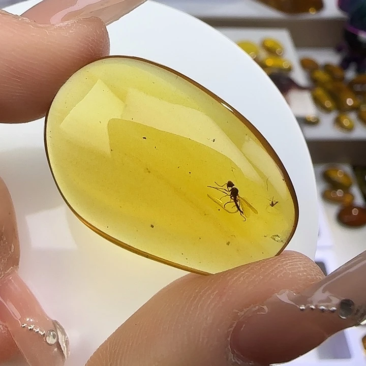 用***6裸石琥珀未镶嵌虫珀标本