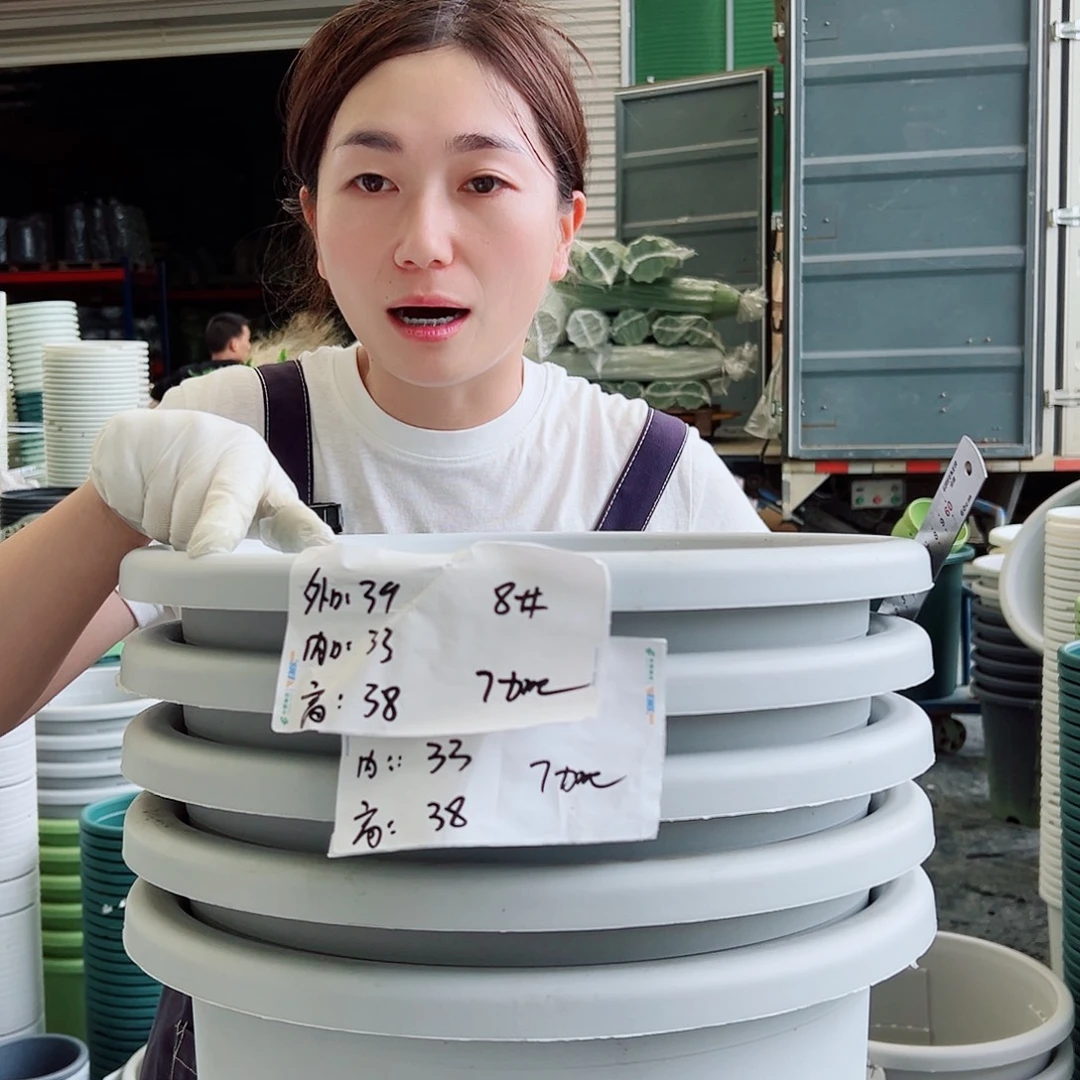 四季盆8#灰白5个无托