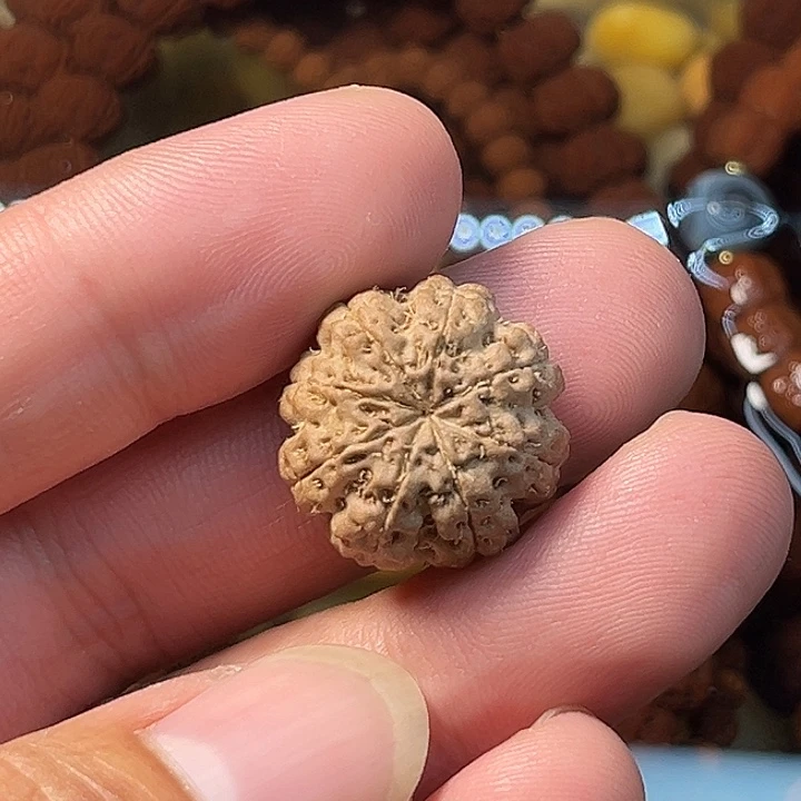 吊坠金刚菩提八瓣原籽