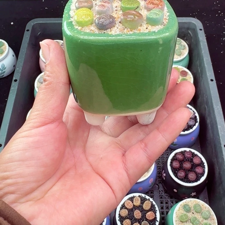 130凑满18包邮零下地区记得拍保温箱