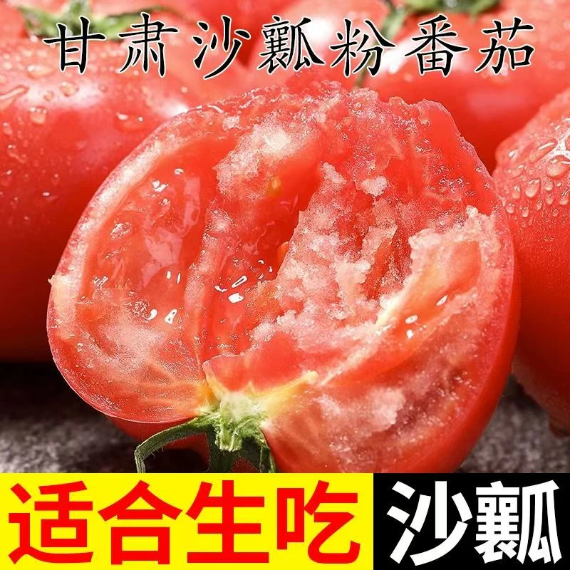 【沙瓤西红柿】自然成熟老品种西红柿沙瓤多汁