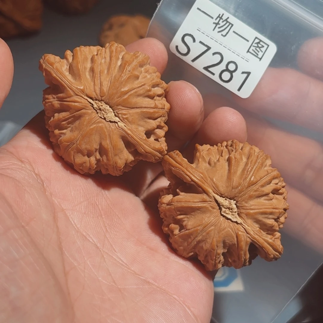 文玩核桃把件白狮子