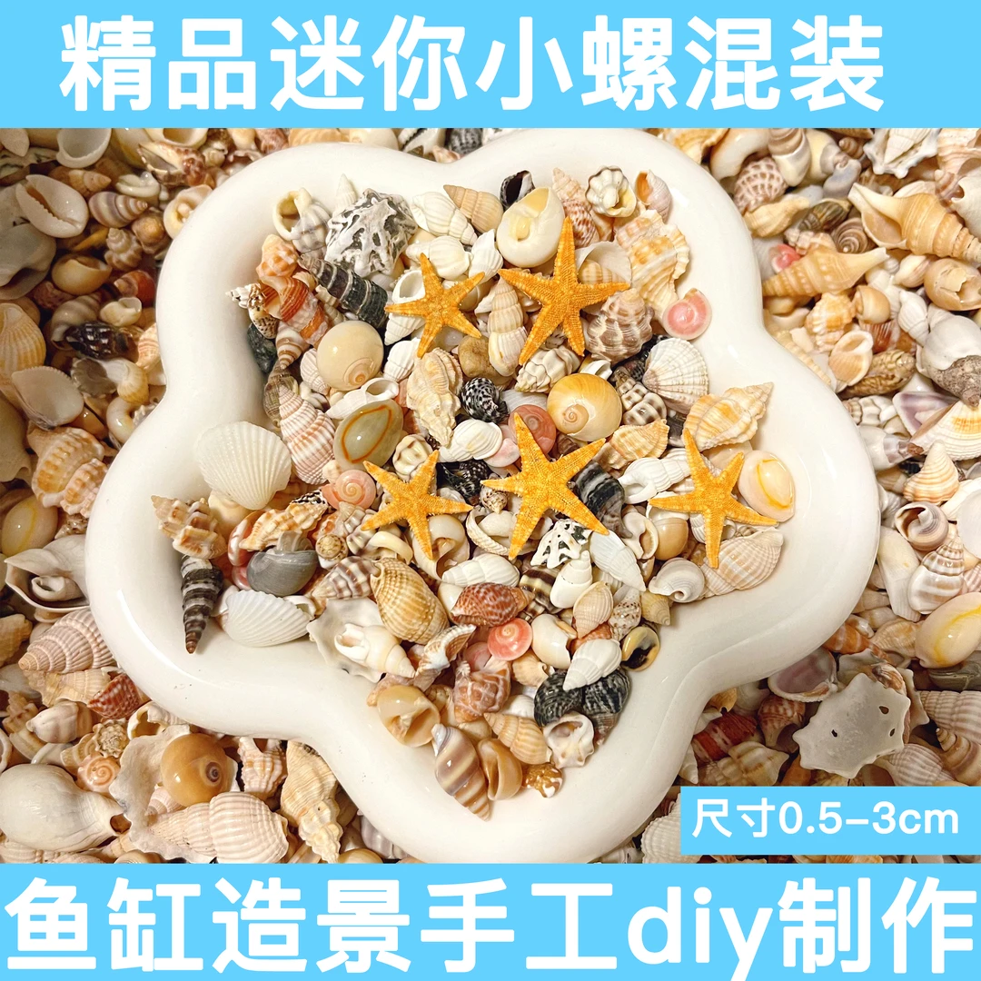 天然贝壳海螺海星鱼缸diy手工艺品景观摆件创意饰品制作配件材料