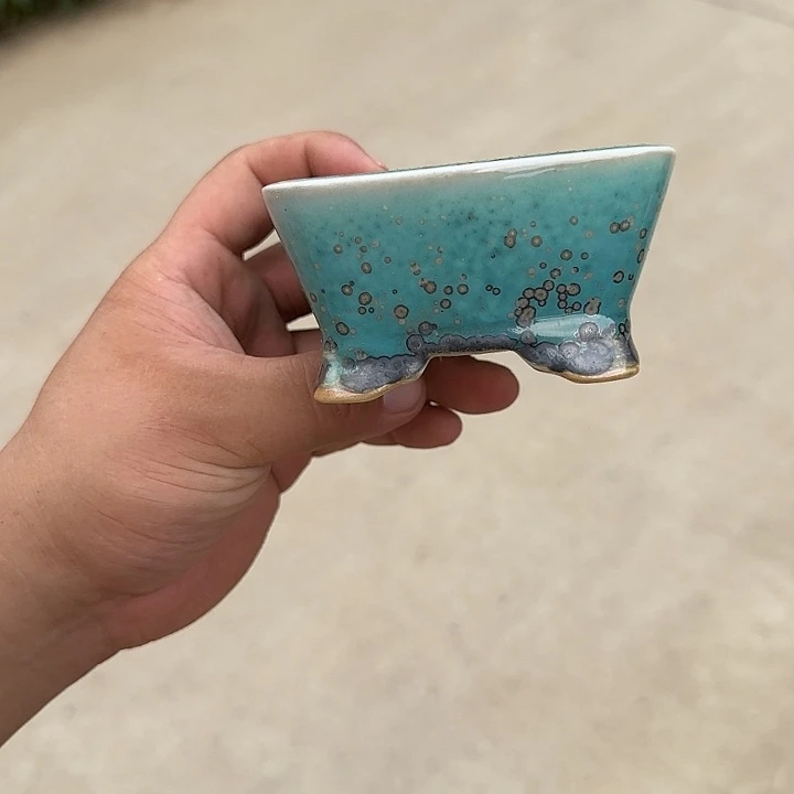 是一个集休闲农业的休闲胜地以及现代生活