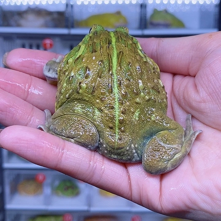特价促销活动开始啦