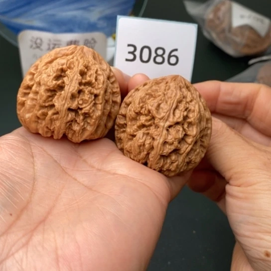 文玩核桃把件于*43大粗筋3086