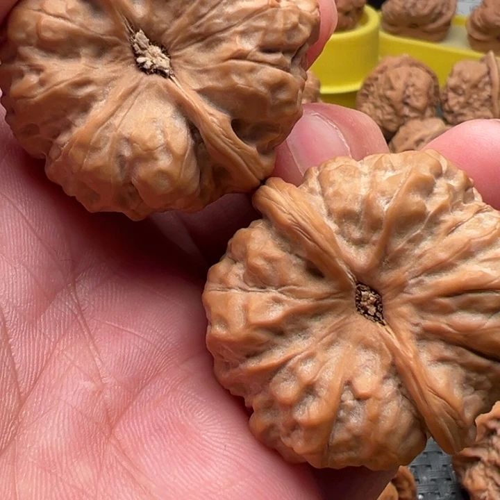 一***阳核桃文玩核桃文玩核桃