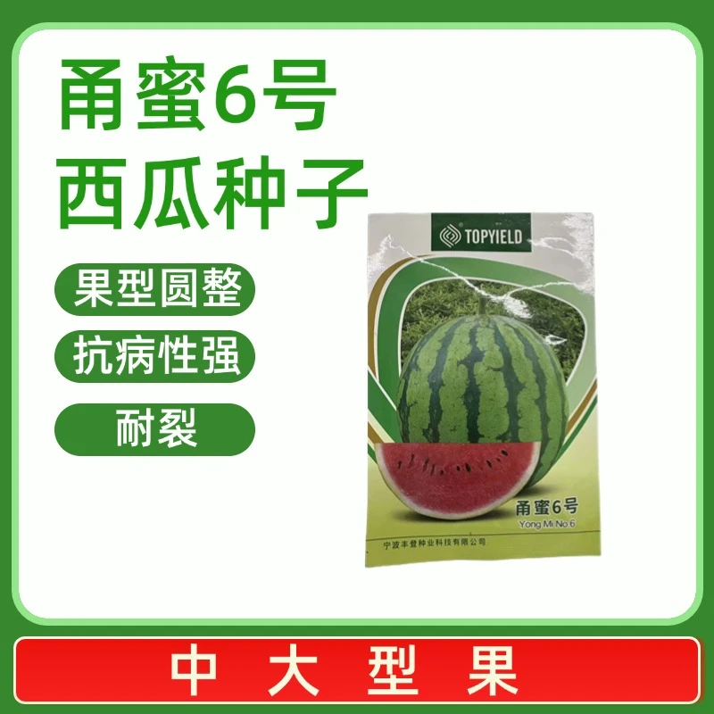 甬蜜6号西瓜种子露天种植品种耐裂口感酥脆