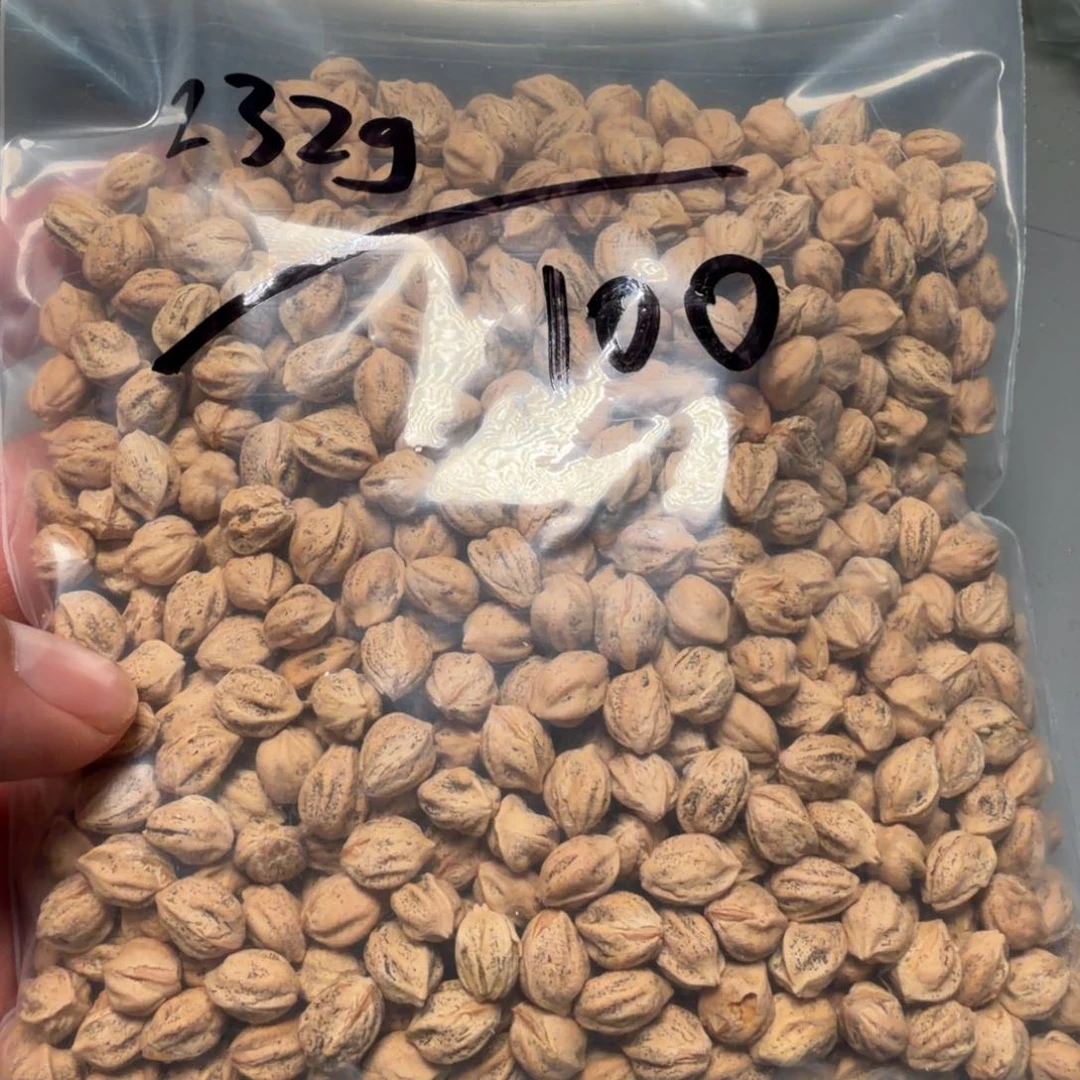 吊坠柏香籽/百香籽辉