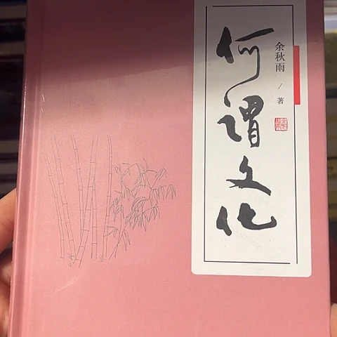 何谓文化  8  闪购闪购