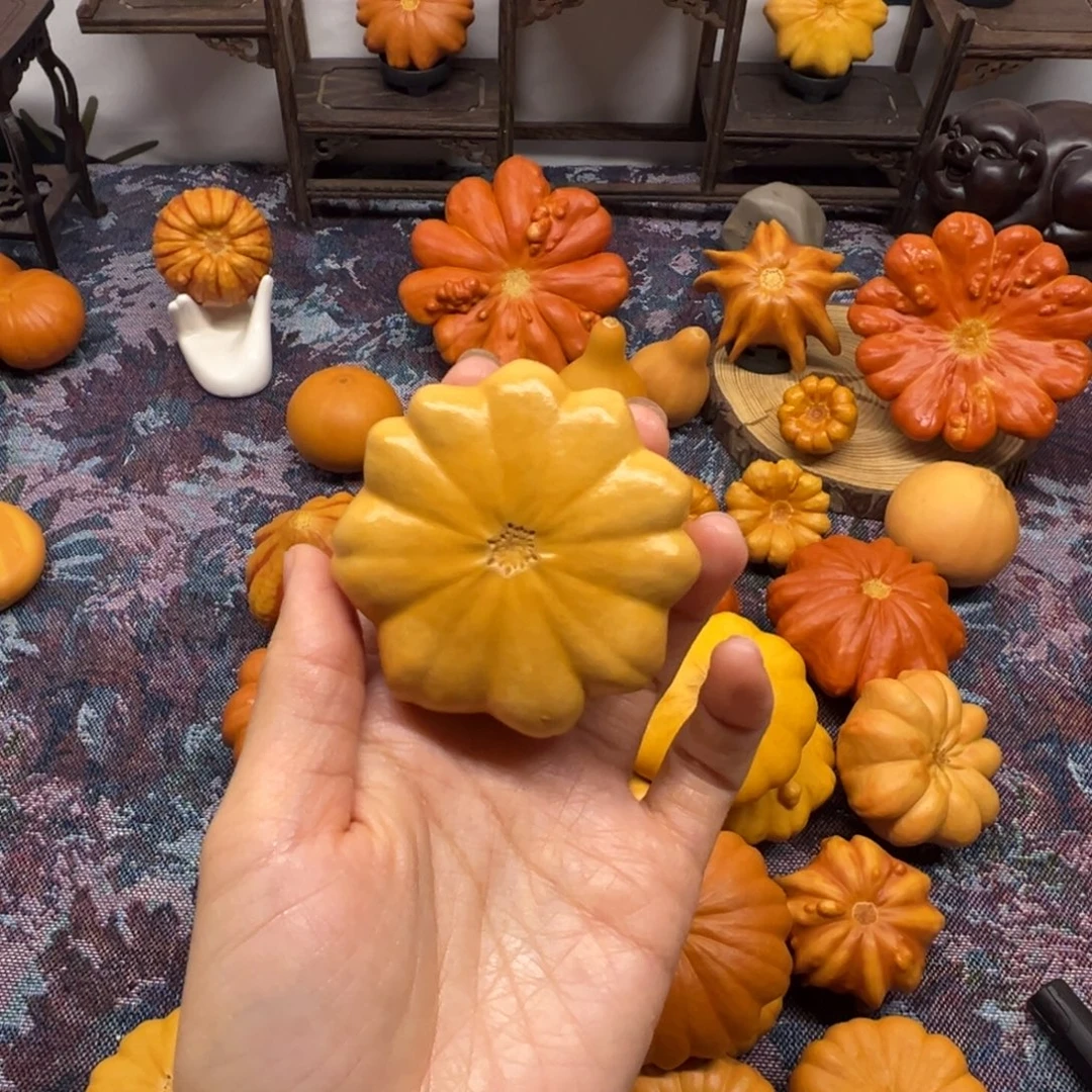 墨西哥葫芦小花花