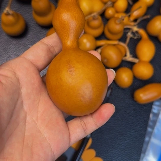 高**谷葫芦葫芦葫芦葫芦葫芦