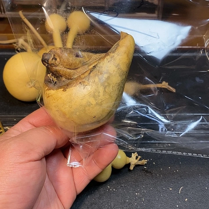 敬*精品葫芦手把葫芦129