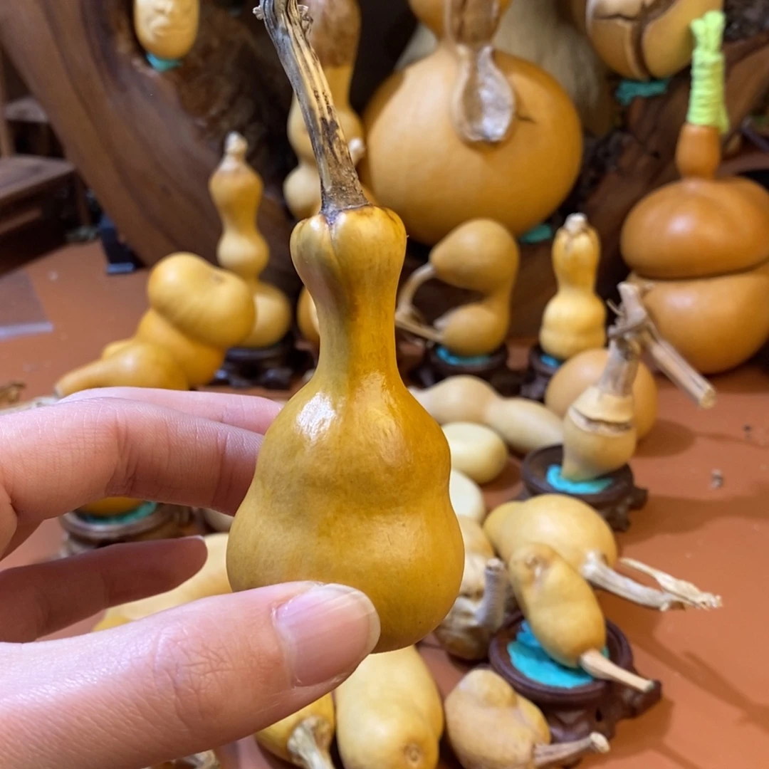 白***水，教练教练教练教练咯