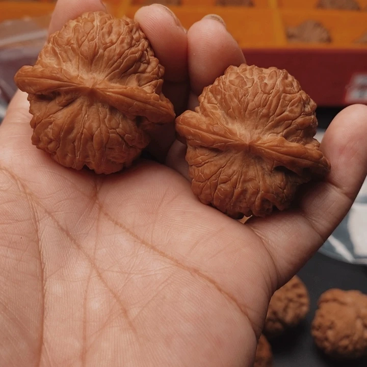 核桃血麒麟40尺核桃