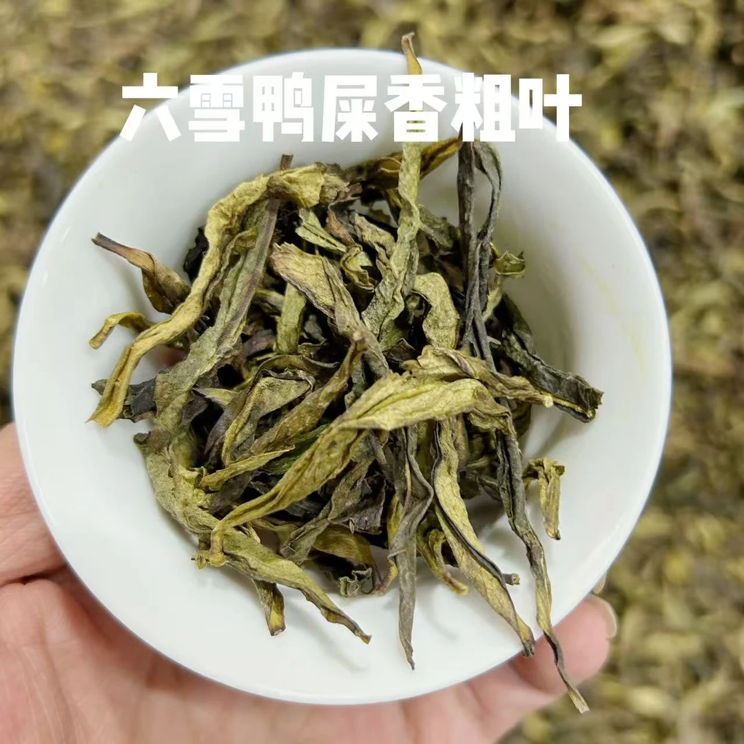 六雪凤凰单丛茶鸭屎香二米粗叶茶叶口粮茶店铺工厂茶清香型单枞茶