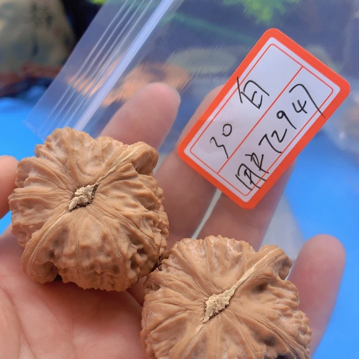 文玩核桃把件用****8白狮子