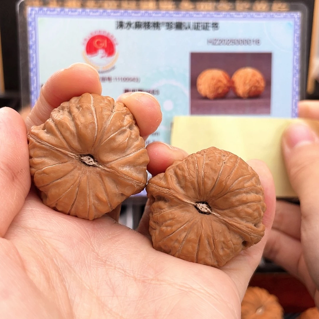 把件文玩核桃36尺超精小球瓜一字底凹底全品红皮南瓜墩36S3