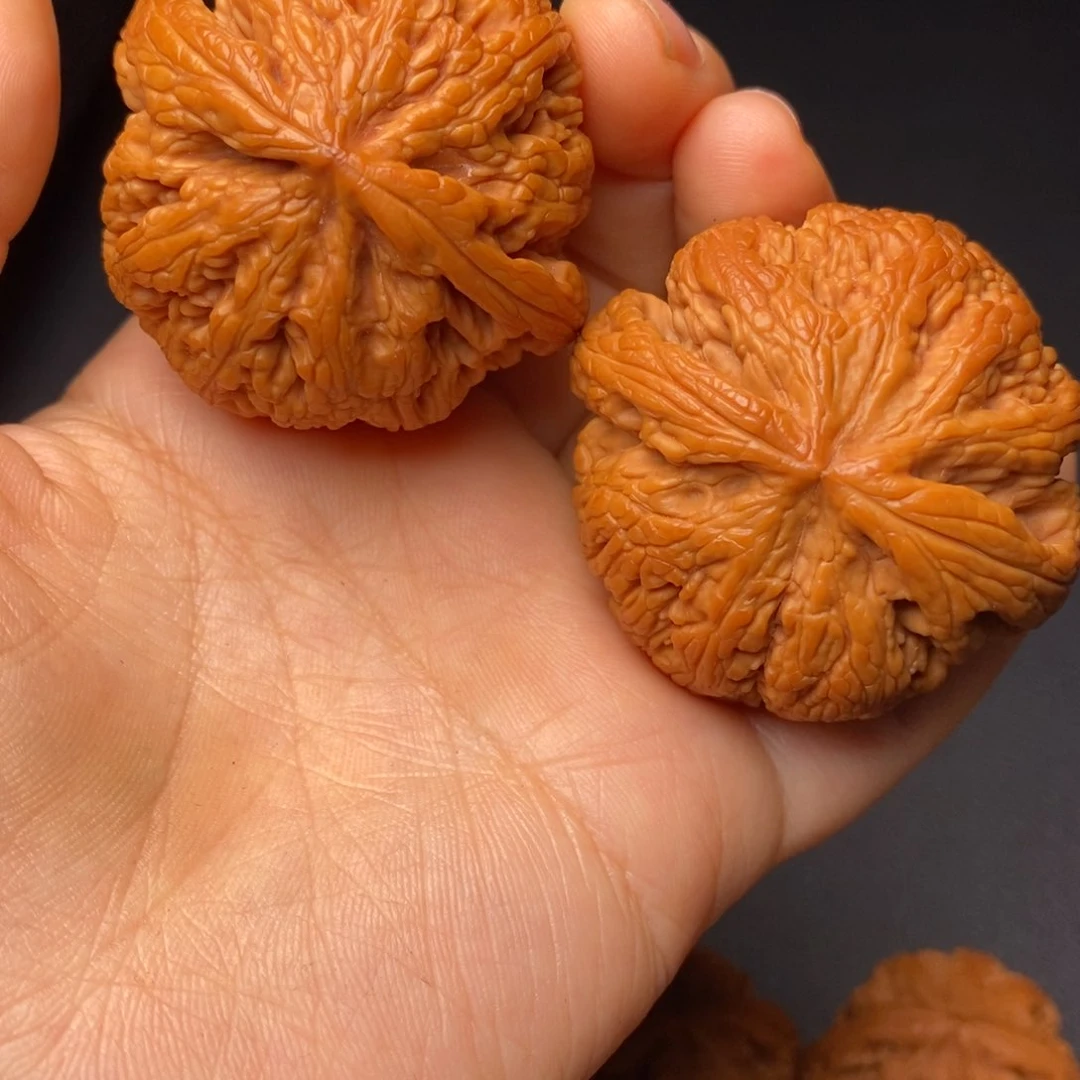 文玩核桃把件秦岭野生核桃