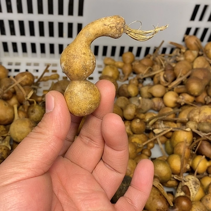 永*精品葫芦手把葫芦85