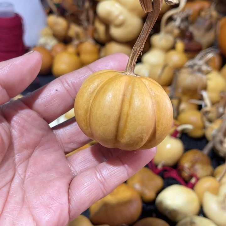 排***箫葫芦哈哈哈哈哈哈