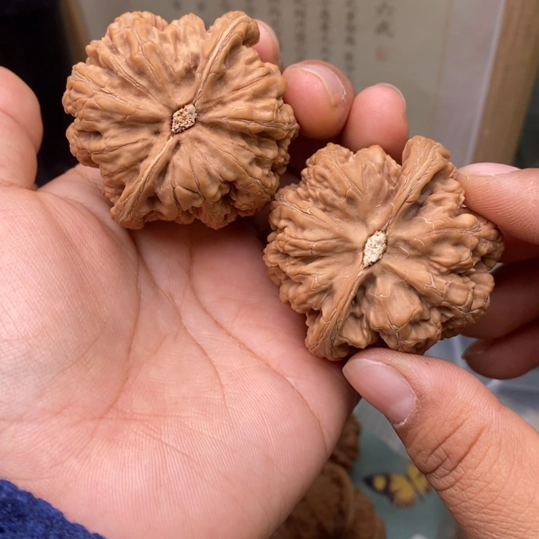 文玩核桃把件46大粗筋