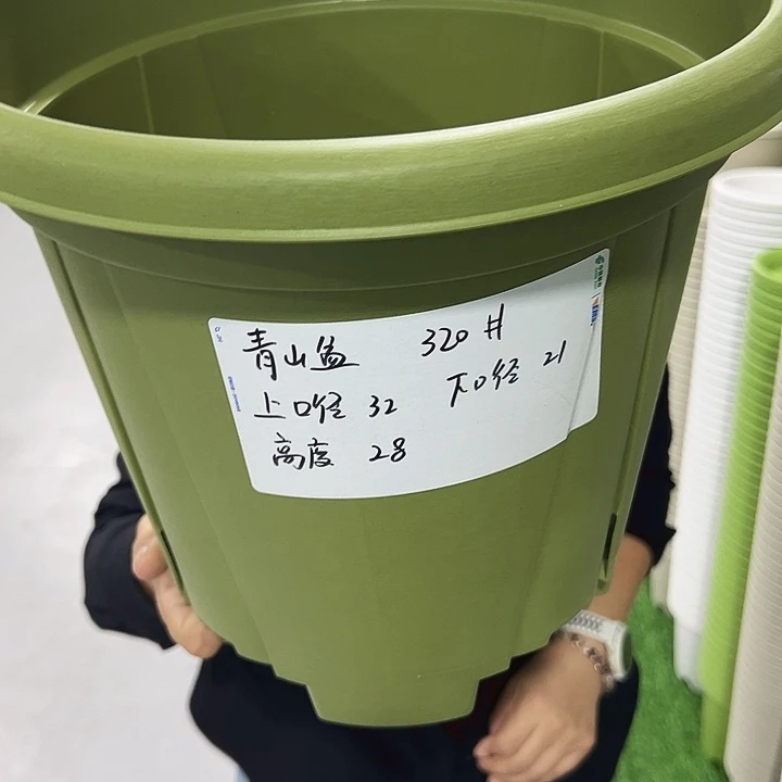 特价青山口32高28果绿无托5只