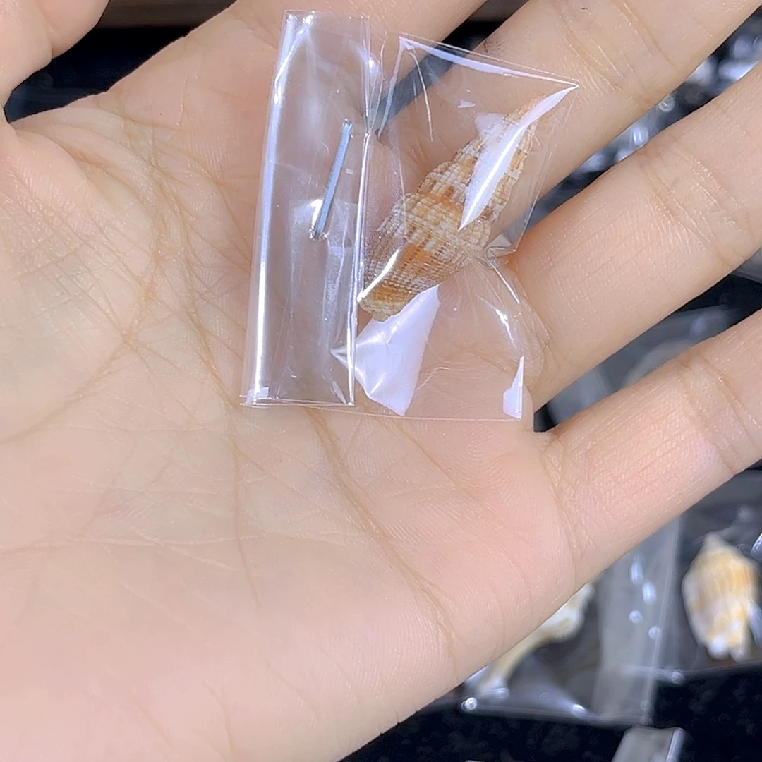 大理石磁石十**C天然贝壳特价不退不换
