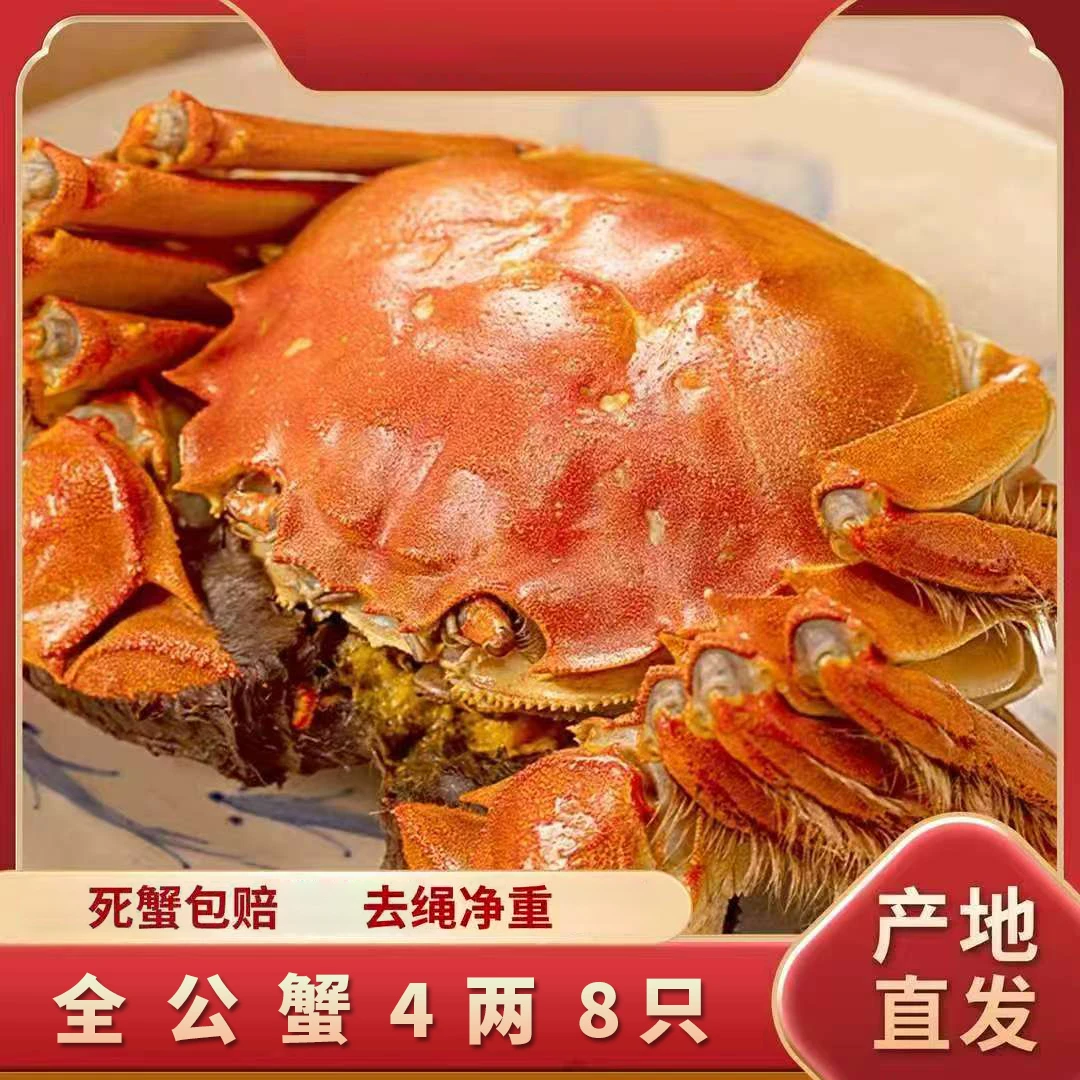 【活蟹】大闸蟹公蟹3.8-4.1两 8只