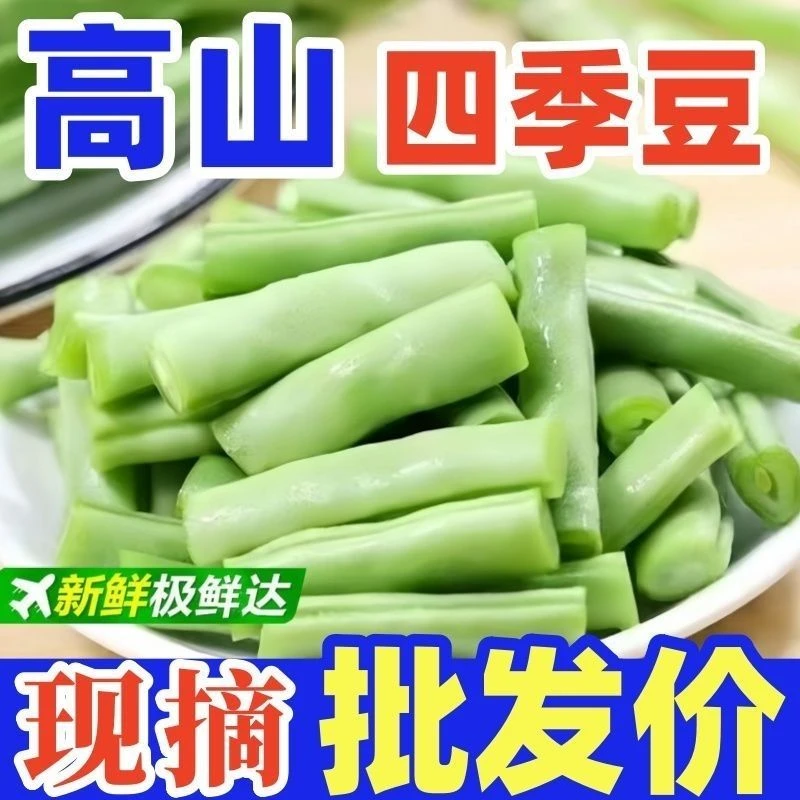 云南高山露天四季豆小金豆新鲜现采应季脆嫩鲜甜蔬菜