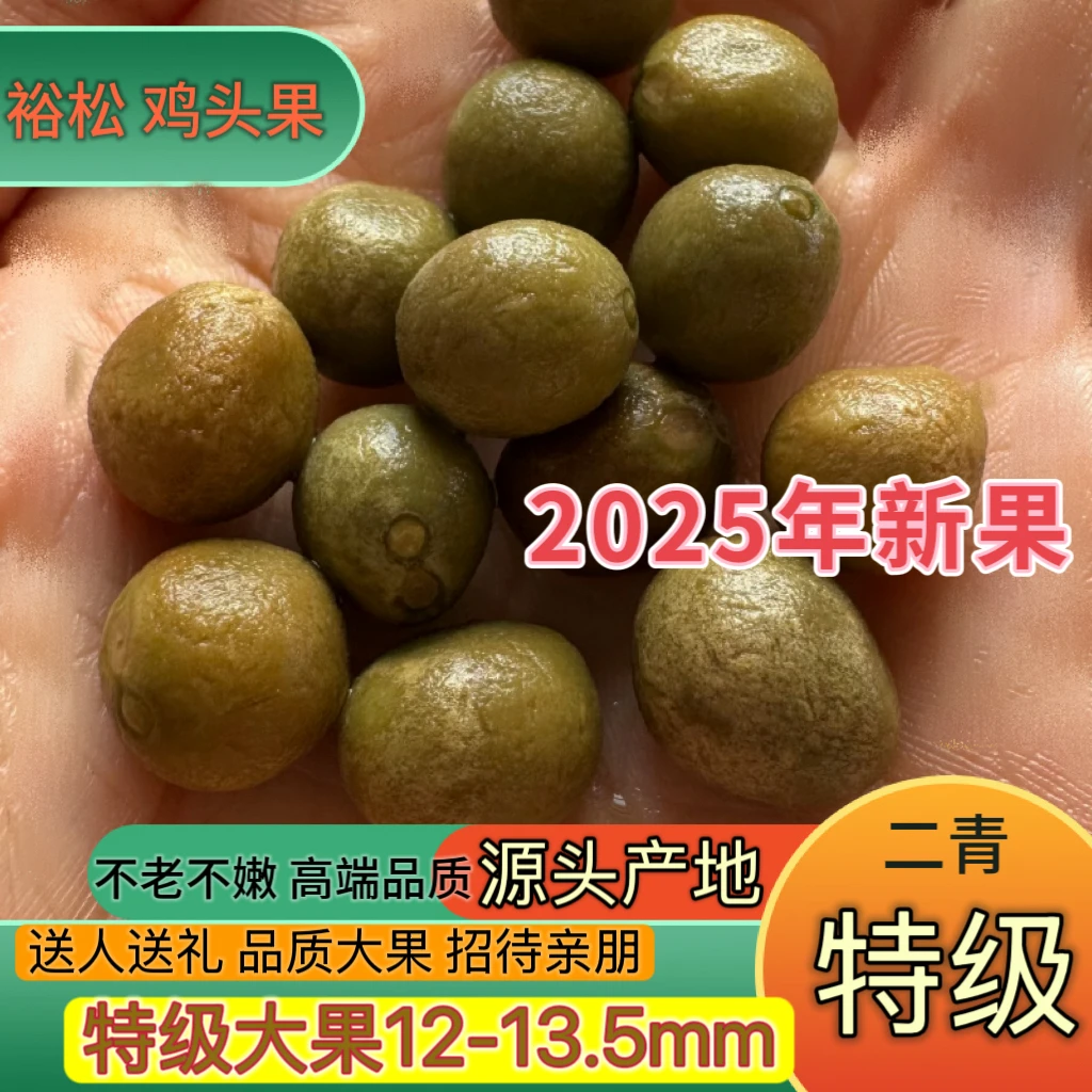 2025新果特级大果打磨高品质鸡头米安徽特产裕松鸡头果带壳芡实