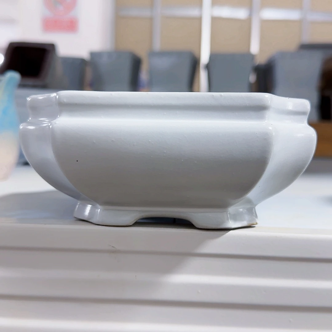 陶瓷花盆特价上新