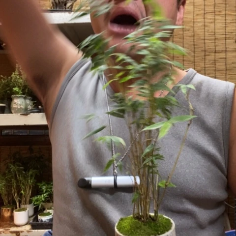 红陶一物一拍所见即所得120