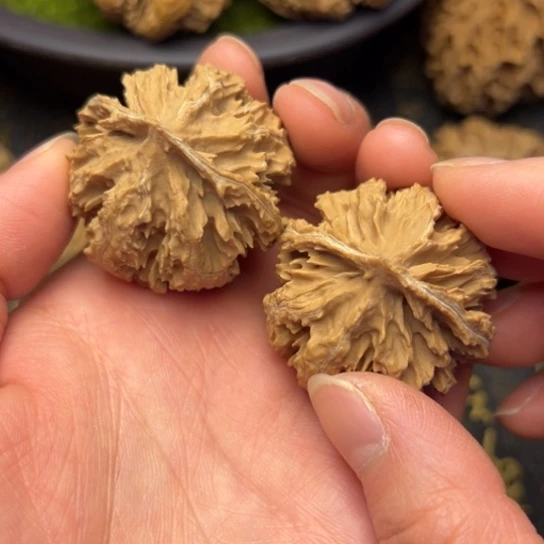 文玩核桃把件秦岭核桃8