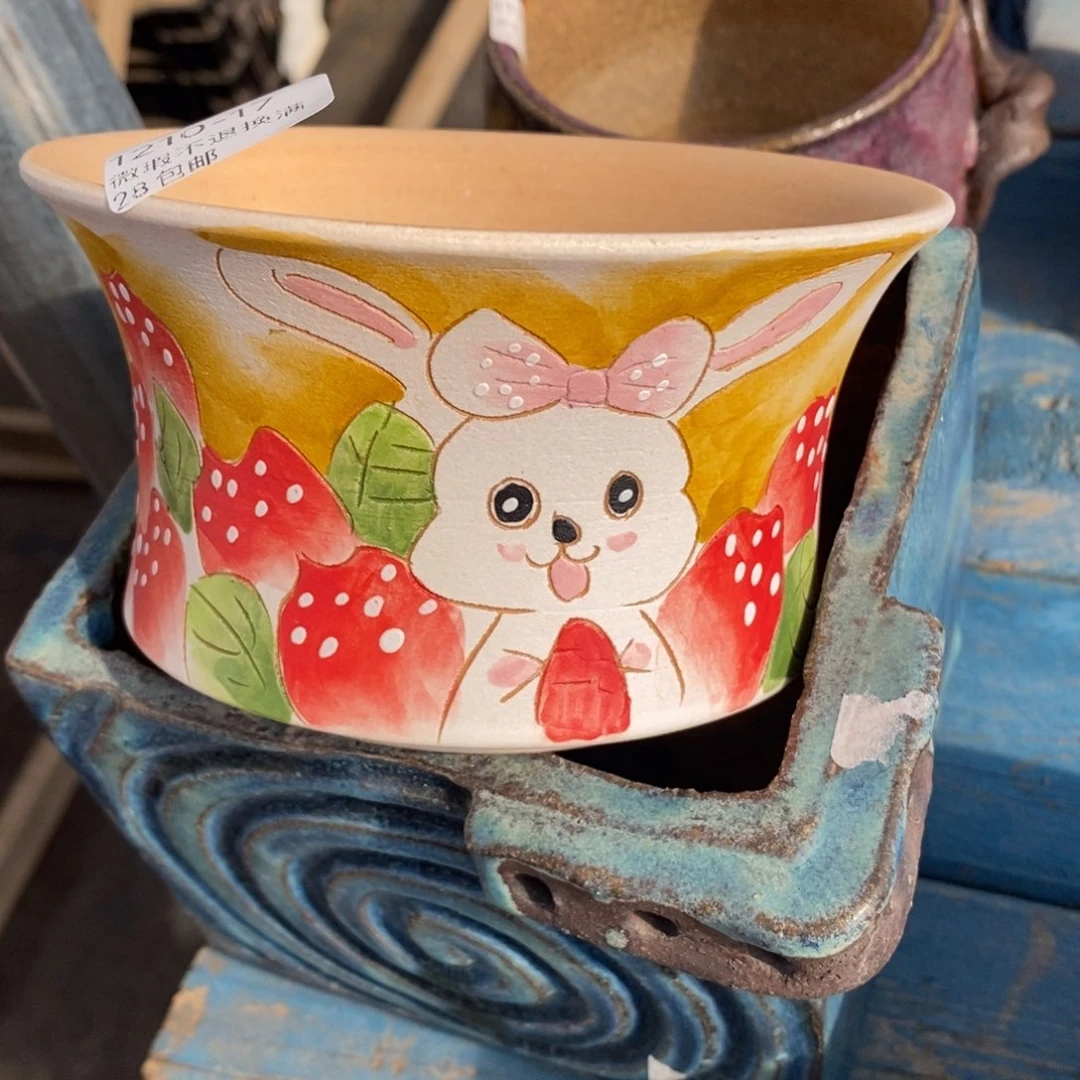 17号多肉盆口径13