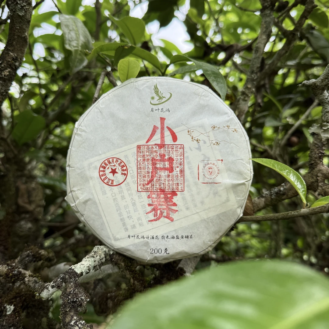 23小户赛【古树茶】春茶普洱茶生茶爆甜饼茶