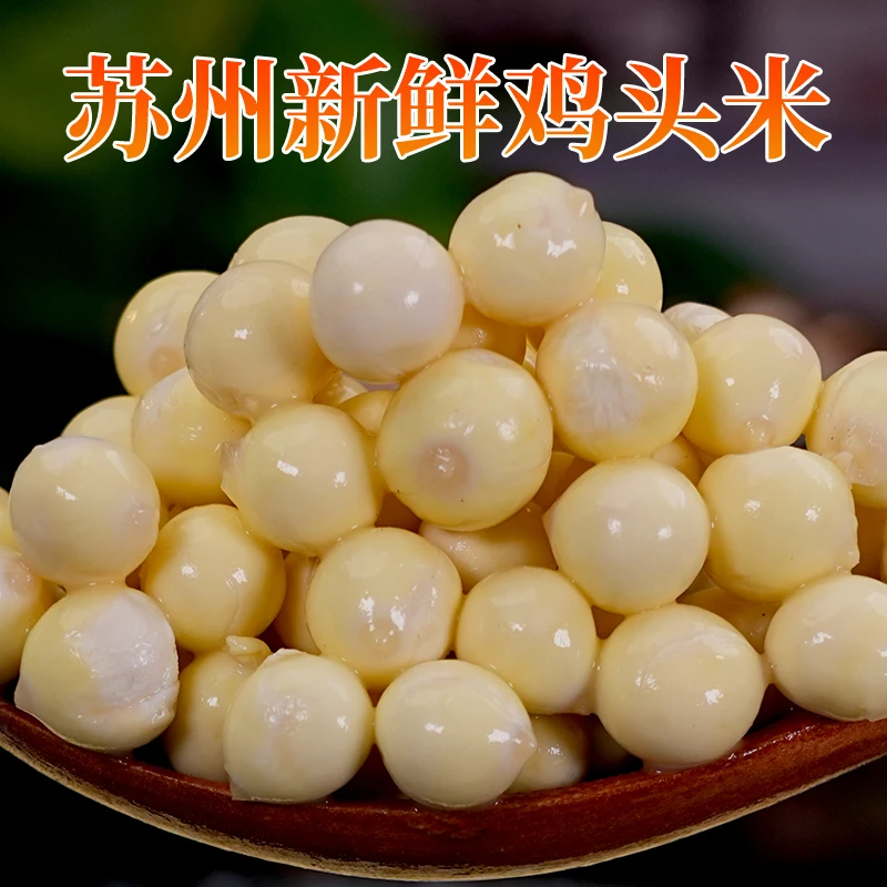 【中颗粒】正宗2025苏州新鲜鸡头米现货新鲜采摘芡实手剥